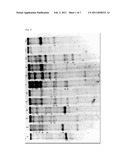 METHOD AND BACTERIUM FOR PROMOTING THE GROWTH OF RACOMITRIUM CANESCENS AND SEED PLANTS diagram and image