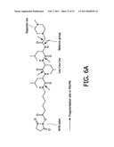 COMPOUNDS AND METHODS FOR THE LABELLING AND AFFINITY-SELECTION OF PROTEINS diagram and image