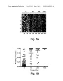 SIGNATURES OF RADIATION RESPONSE diagram and image