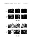 SIGNATURES OF RADIATION RESPONSE diagram and image