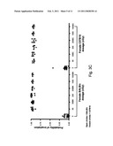 SIGNATURES OF RADIATION RESPONSE diagram and image