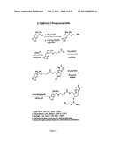 PHOTOCLEAVABLE PROTECTING GROUPS diagram and image