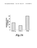 METHODS OF SCREENING OF PP1-INTERACTING POLYPEPTIDES OR PROTEINS, PEPTIDES INHIBITING PP1c BINDING TO Bcl-2 PROTEINS, BCL-XL AND BCL-W, AND USES THEREOF diagram and image