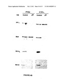 METHODS OF SCREENING OF PP1-INTERACTING POLYPEPTIDES OR PROTEINS, PEPTIDES INHIBITING PP1c BINDING TO Bcl-2 PROTEINS, BCL-XL AND BCL-W, AND USES THEREOF diagram and image