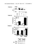 METHODS OF SCREENING OF PP1-INTERACTING POLYPEPTIDES OR PROTEINS, PEPTIDES INHIBITING PP1c BINDING TO Bcl-2 PROTEINS, BCL-XL AND BCL-W, AND USES THEREOF diagram and image