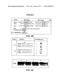 METHODS OF SCREENING OF PP1-INTERACTING POLYPEPTIDES OR PROTEINS, PEPTIDES INHIBITING PP1c BINDING TO Bcl-2 PROTEINS, BCL-XL AND BCL-W, AND USES THEREOF diagram and image