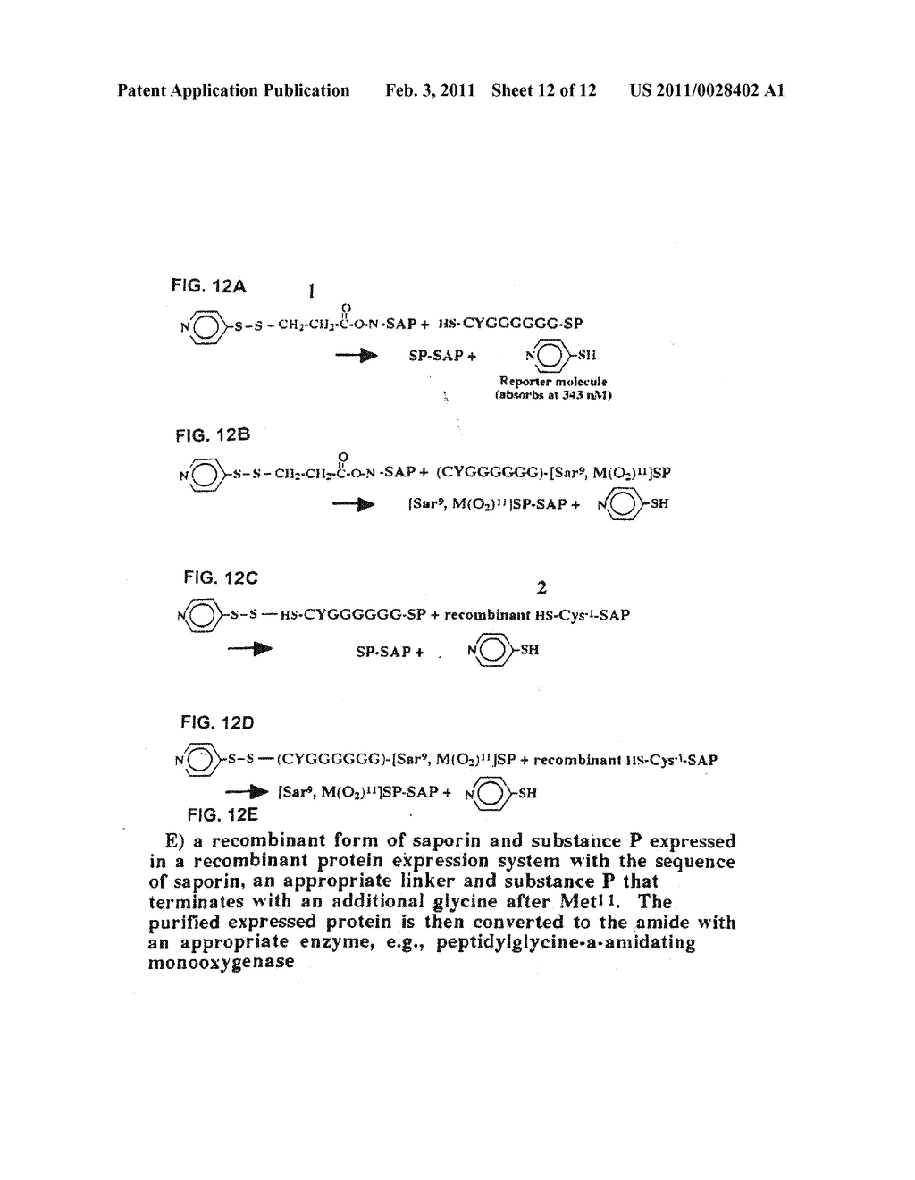 SUBSTANCE P-SAPORIN (SP-SAP) CONJUGATES AND METHODS OF USE - diagram, schematic, and image 13