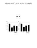 Composition Comprising Vegetable Peptone for Promoting Stem Cell Proliferation diagram and image