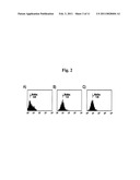 Composition Comprising Vegetable Peptone for Promoting Stem Cell Proliferation diagram and image