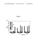 Composition Comprising Vegetable Peptone for Promoting Stem Cell Proliferation diagram and image