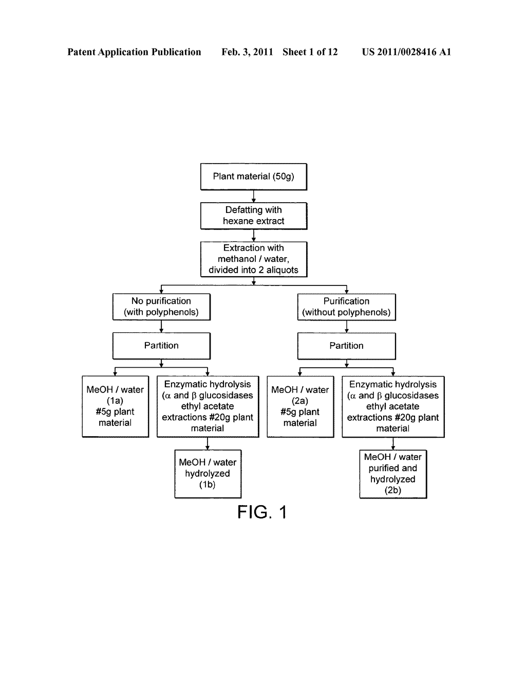 NUTRITIONAL COMPOSITIONS FOR PROMOTION OF BONE GROWTH AND MAINTENANCE OF BONE HEALTH COMPRISING EXTRACTS OF FOR EXAMPLE ROSEMARY OR CARAWAY - diagram, schematic, and image 02