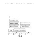 NUTRITIONAL COMPOSITIONS FOR PROMOTION OF BONE GROWTH AND MAINTENANCE OF BONE HEALTH COMPRISING EXTRACTS OF FOR EXAMPLE ROSEMARY OR CARAWAY diagram and image