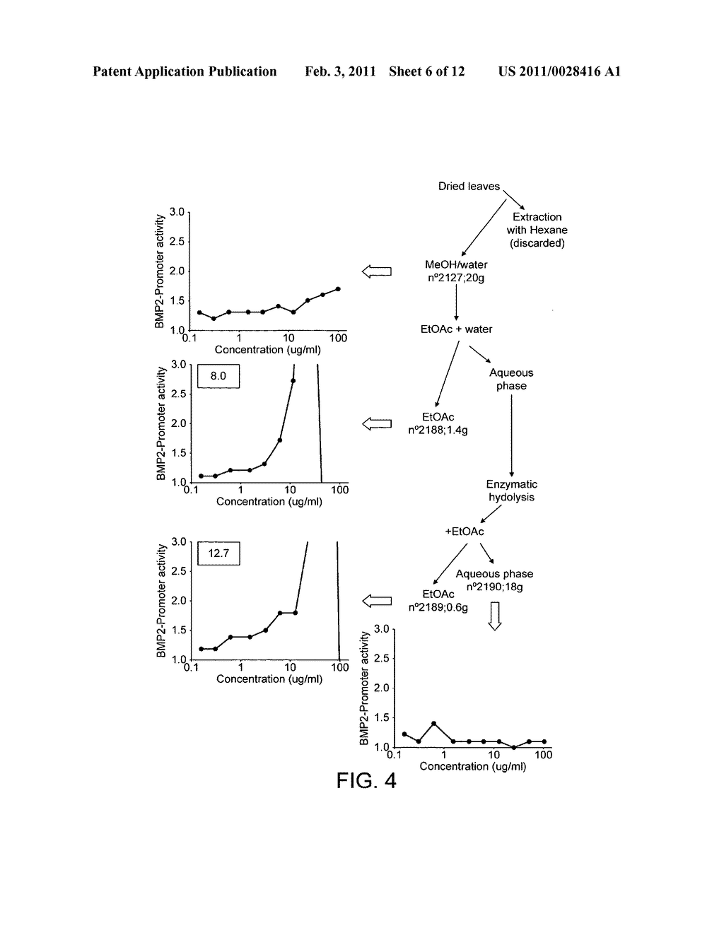 NUTRITIONAL COMPOSITIONS FOR PROMOTION OF BONE GROWTH AND MAINTENANCE OF BONE HEALTH COMPRISING EXTRACTS OF FOR EXAMPLE ROSEMARY OR CARAWAY - diagram, schematic, and image 07