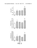 NUTRITIONAL COMPOSITIONS FOR PROMOTION OF BONE GROWTH AND MAINTENANCE OF BONE HEALTH COMPRISING EXTRACTS OF FOR EXAMPLE ROSEMARY OR CARAWAY diagram and image