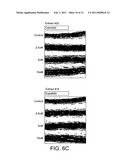 NUTRITIONAL COMPOSITIONS FOR PROMOTION OF BONE GROWTH AND MAINTENANCE OF BONE HEALTH COMPRISING EXTRACTS OF FOR EXAMPLE ROSEMARY OR CARAWAY diagram and image