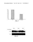 NUTRITIONAL COMPOSITIONS FOR PROMOTION OF BONE GROWTH AND MAINTENANCE OF BONE HEALTH COMPRISING EXTRACTS OF FOR EXAMPLE ROSEMARY OR CARAWAY diagram and image