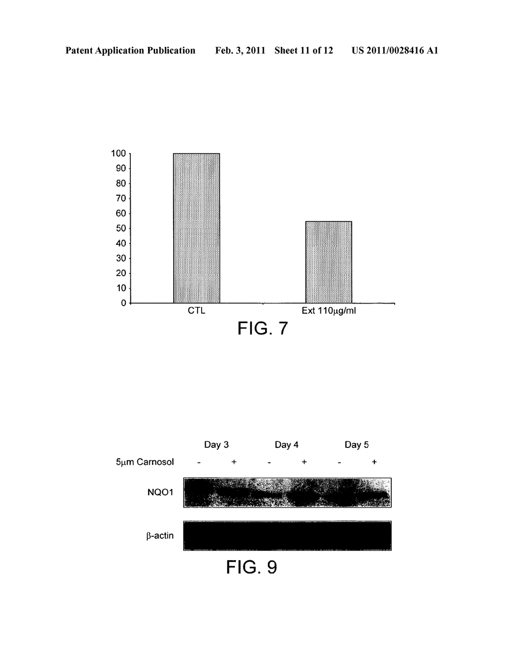 NUTRITIONAL COMPOSITIONS FOR PROMOTION OF BONE GROWTH AND MAINTENANCE OF BONE HEALTH COMPRISING EXTRACTS OF FOR EXAMPLE ROSEMARY OR CARAWAY - diagram, schematic, and image 12