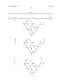 Macrocyclic Compounds and Methods of Use Thereof diagram and image