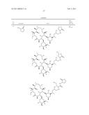 Macrocyclic Compounds and Methods of Use Thereof diagram and image