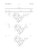 Macrocyclic Compounds and Methods of Use Thereof diagram and image