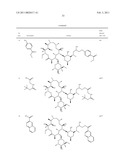 Macrocyclic Compounds and Methods of Use Thereof diagram and image