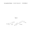 NITROIMIDAZOOXAZINE AND NITROIMIDAZOOXAZOLE ANALOGUES AND THEIR USES diagram and image