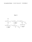 NITROIMIDAZOOXAZINE AND NITROIMIDAZOOXAZOLE ANALOGUES AND THEIR USES diagram and image