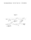 NITROIMIDAZOOXAZINE AND NITROIMIDAZOOXAZOLE ANALOGUES AND THEIR USES diagram and image