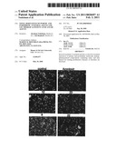 NOVEL DERIVATIVES OF PURINIC AND PYRIMIDINIC ANTIVIRAL AGENTS AND USE THEREOF AS POTENT ANTICANCER AGENTS diagram and image