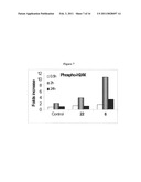 NOVEL DERIVATIVES OF PURINIC AND PYRIMIDINIC ANTIVIRAL AGENTS AND USE THEREOF AS POTENT ANTICANCER AGENTS diagram and image