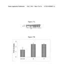 NOVEL DERIVATIVES OF PURINIC AND PYRIMIDINIC ANTIVIRAL AGENTS AND USE THEREOF AS POTENT ANTICANCER AGENTS diagram and image