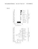 Pharmaceutical Composition For Preventintion And Treatment Of Restenosis Comprising Isoxazole Derivatives diagram and image