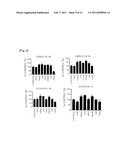 Pharmaceutical Composition For Preventintion And Treatment Of Restenosis Comprising Isoxazole Derivatives diagram and image