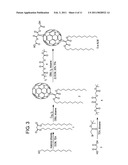 FULLERENE THERAPIES FOR INFLAMMATION diagram and image