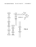 FULLERENE THERAPIES FOR INFLAMMATION diagram and image