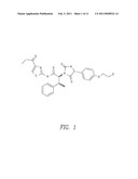 PHARMACEUTICAL COMPOSITIONS FOR POORLY SOLUBLE DRUGS diagram and image