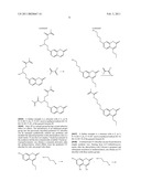 Copolymer and Ophthalmological Composition diagram and image