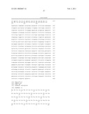 FAMILY OF IMMUNOREGULATORS DESIGNATED LEUKOCYTE IMMUNOGLOBULIN-LIKE RECEPTORS (LIR) diagram and image