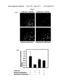 SULFUR-CONTAINING PROANTHOCYANIDIN OLIGOMER COMPOSITION AND PRODUCTION METHOD THEREOF diagram and image