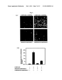 SULFUR-CONTAINING PROANTHOCYANIDIN OLIGOMER COMPOSITION AND PRODUCTION METHOD THEREOF diagram and image