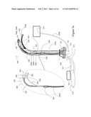 DISPOSABLE ENDOSCOPIC ACCESS DEVICE AND PORTABLE DISPLAY diagram and image