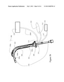 DISPOSABLE ENDOSCOPIC ACCESS DEVICE AND PORTABLE DISPLAY diagram and image