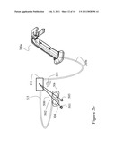 DISPOSABLE ENDOSCOPIC ACCESS DEVICE AND PORTABLE DISPLAY diagram and image