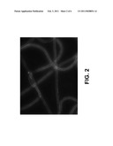 USE OF ELECTROSPUN MICROTUBES FOR DRUG DELIVERY diagram and image