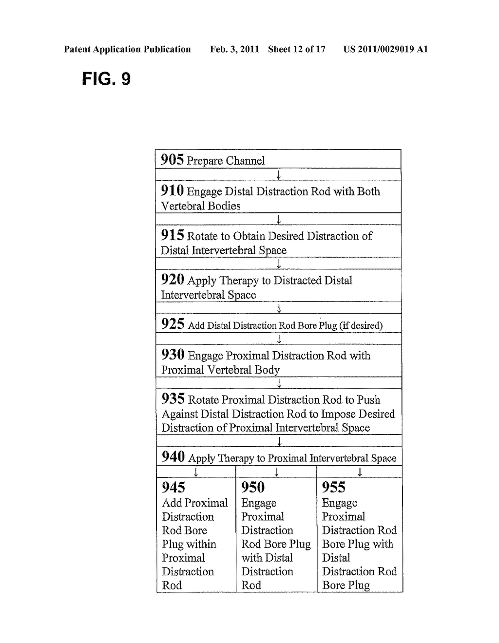 ASSEMBLIES FOR PROVISION OF THERAPY TO MOTION SEGMENTS - diagram, schematic, and image 13