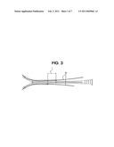 CARINA MODIFICATION CATHETER diagram and image