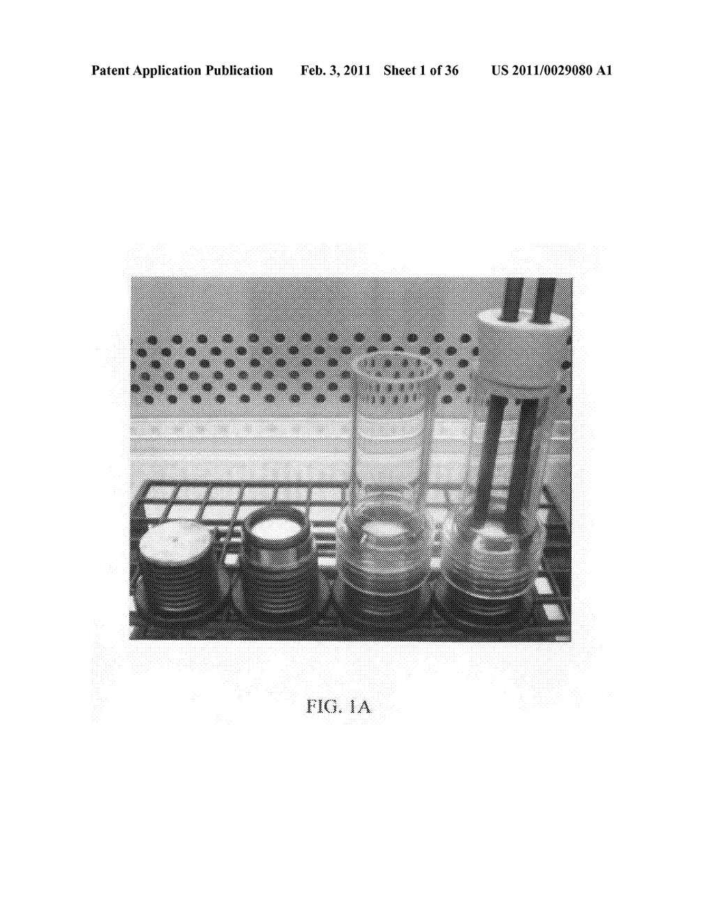 ELECTROCHEMICAL COUPLING OF METALLIC BIOMATERIAL IMPLANTS FOR BIOLOGICAL EFFECT - diagram, schematic, and image 02