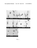 ELECTROCHEMICAL COUPLING OF METALLIC BIOMATERIAL IMPLANTS FOR BIOLOGICAL EFFECT diagram and image