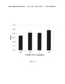 ELECTROCHEMICAL COUPLING OF METALLIC BIOMATERIAL IMPLANTS FOR BIOLOGICAL EFFECT diagram and image