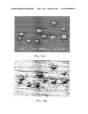 ELECTROCHEMICAL COUPLING OF METALLIC BIOMATERIAL IMPLANTS FOR BIOLOGICAL EFFECT diagram and image